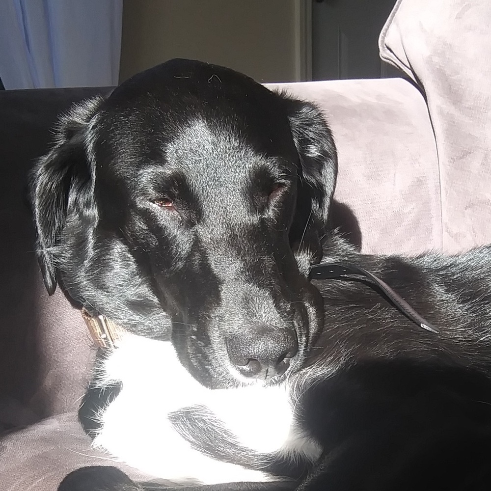 Meet your Posher, Olivia